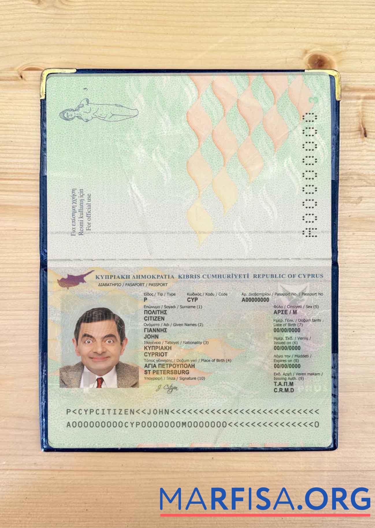 Printable Cyprus passport photo look template